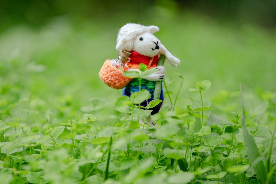 你的獨特也是一道彩虹