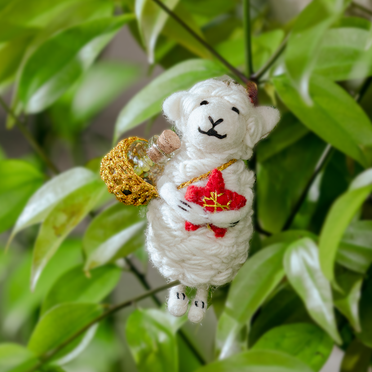 旅途上的奇蹟｜小夥伴們