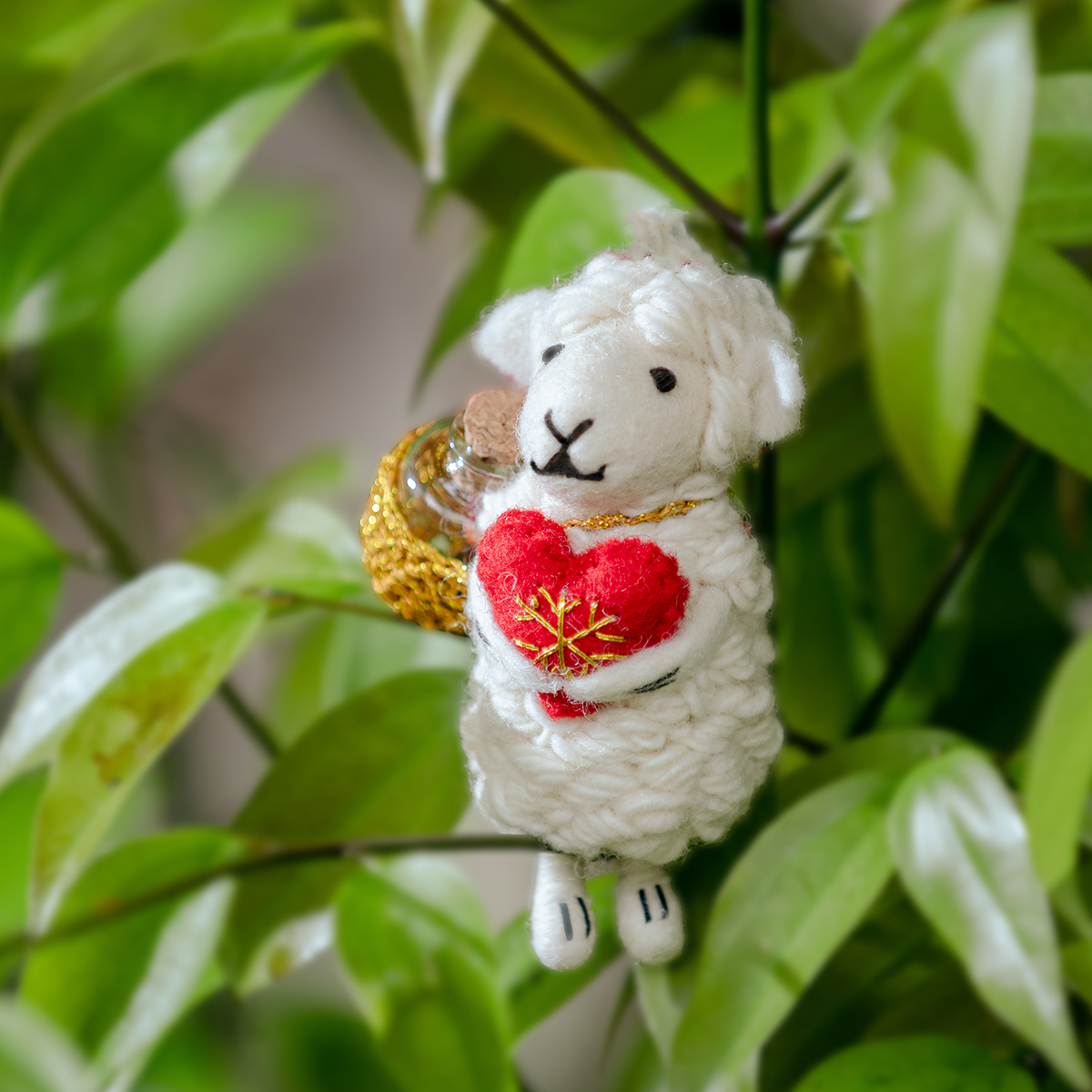 旅途上的奇蹟｜小夥伴們