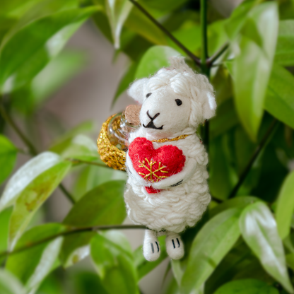 旅途上的奇蹟｜小夥伴們